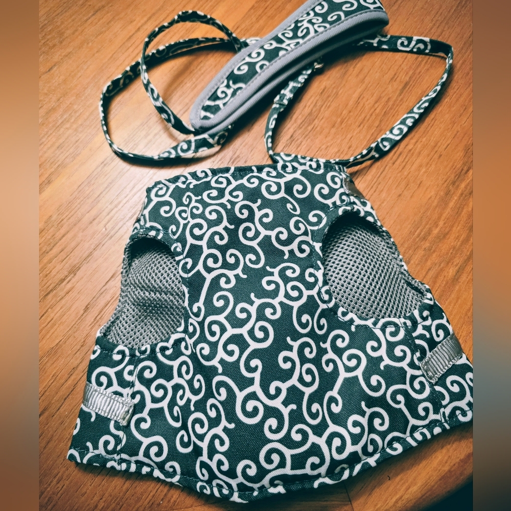Cat or Dog Harness in Blue Incl Leash